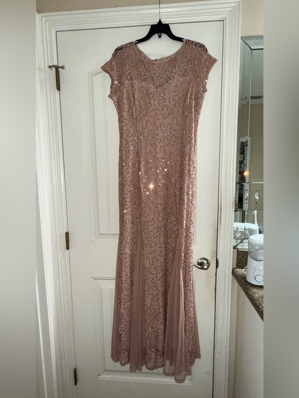 Blu Sage Blush Lace Sequin Evening Dress